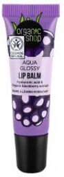 Baume à Lèvres Aqua Glossy - Tube 10 ml
