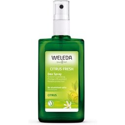Déodorant au Citrus 100 ml