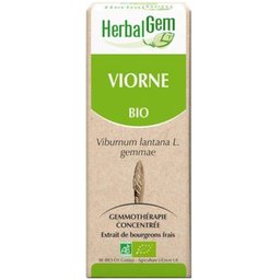 Macer Mer Bio Viorne30ml