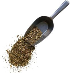 Tisane Cochléaire feuille Cochlearia officinalis.