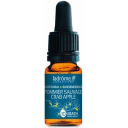 Pommier Sauvage N°10