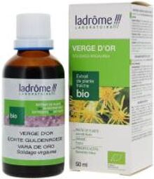 Xtrait de Plantes Fraîches Bio Verge d'or 50 ml - Flacon 50 ml