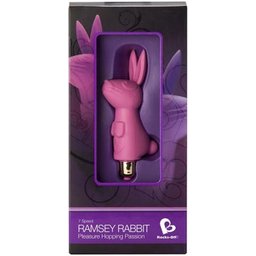 Ramsey Lapin Bullet Vibrator Pink 1ut