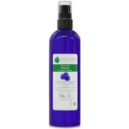 Hydrolat de Bleuet Cosmos 100 ml