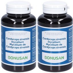Mycélium de Cordyceps Sinensis