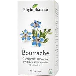 Bourrache