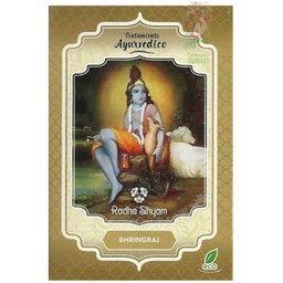 Bhingraj Traitement des cheveux 100g