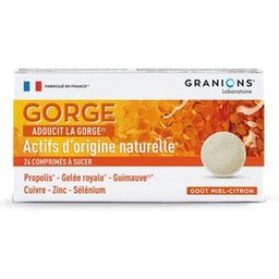 Gorge Goût Miel Citron 24 Comprimés À Sucer