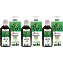 Jus Artichaut Bio