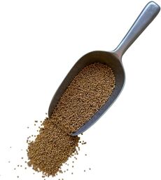 Tisane Moutarde blanche graine entière.
