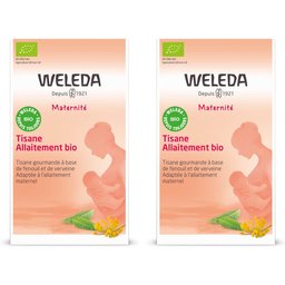 Tisane Allaitement Bio