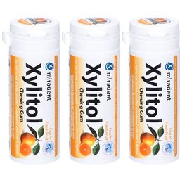 Chewing Gum Xylitol Fruit