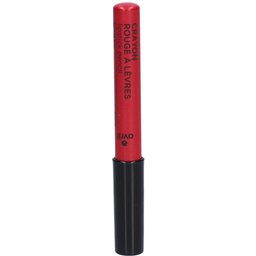 Le Crayon Rouge à Lèvres Griotte
