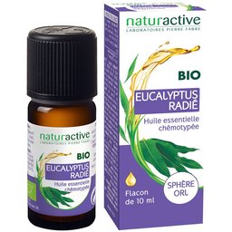 Eucalyptus radié Huile essentielle BIO