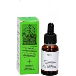 Mgs16 Groseilles Macérées à la Glycérine 20ml