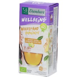 Wellbeing Thé Gingembre Citron vert BIO