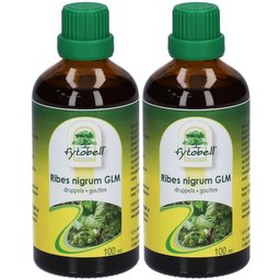 Ribes Nigrum GLM