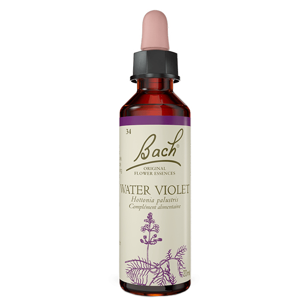 Original - Water Violet 20ml