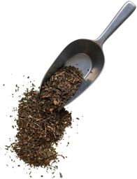 Tisane Chicorée feuille CT Cichorium intybus
