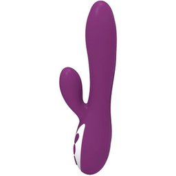 Taylor Vibrateur rechargeable 1pc