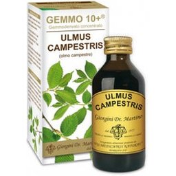 CAMP D'ORME 100ML ANALCO GEM 10+ 10ML