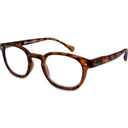 Lunettes Presbytie Everest +1.00 1ut