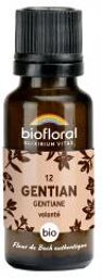 12 Gentian Gentiane Granules Bio 19,5 g - Flacon 19,5 g