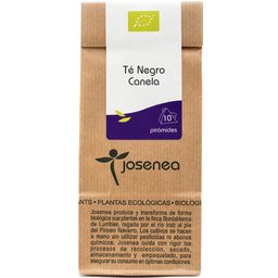 Thé noir à la cannelle Bio B-10 Pyramides 20g