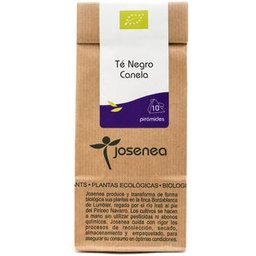 Thé noir à la cannelle Bio B-10 Pyramides 20g
