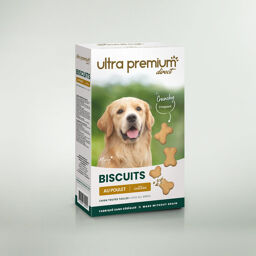 Biscuits pour chien