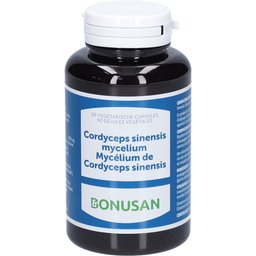 Mycélium de Cordyceps Sinensis