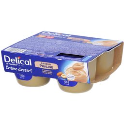 Delical Crème Dessert La Floridine® HP HC praliné