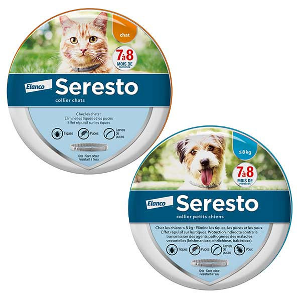 Petit Chien et Chat Lot de 2 boîtes