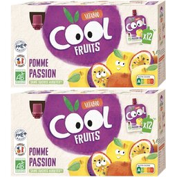Cool Fruits Pomme DE France Passion +3 ans 12x90g