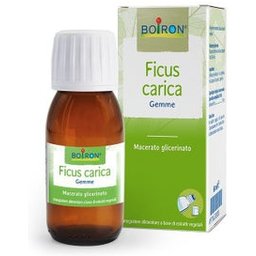 Ficus Carica Biloba 60ml