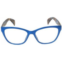 Rg248 Lunettes Bleu +1.00 1ut