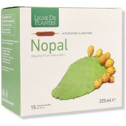 Nopal 15amp