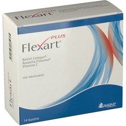 Flexart Plus 14Bust Nf
