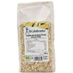 Flocons d'Avoine Fins Sans Gluten 500g