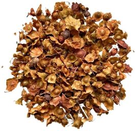 Tisane Paliure fruit ENTIER Paliurus aculeatus