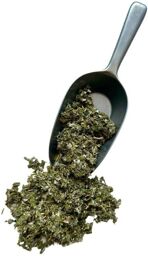 Tisane Framboisier (rubus idaeus) - 250g