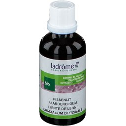 Extrait de plante fraîche Pissenlit Bio