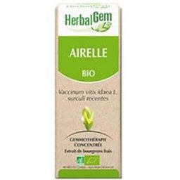 Macérat Concentré d'Airelle Bio 30ml