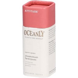 Oceanly Cream Blush Stick