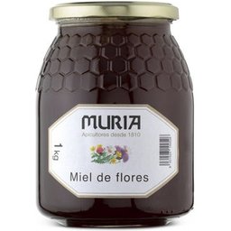 Miel de Polyflora 1Kg