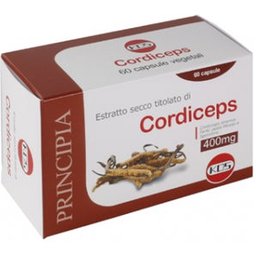 EXTRAIT SEC DE CORDICEPS 60CPS