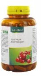 Cys-Control Cranberry 120 gélules - Flacon 150 végécaps