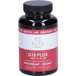 Q10 Plus