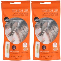 L'action Touch Up Bâton Cheveux Gris - Brun Foncé