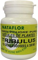 GELULES TRIBULUS gélules dosées à 300mg.